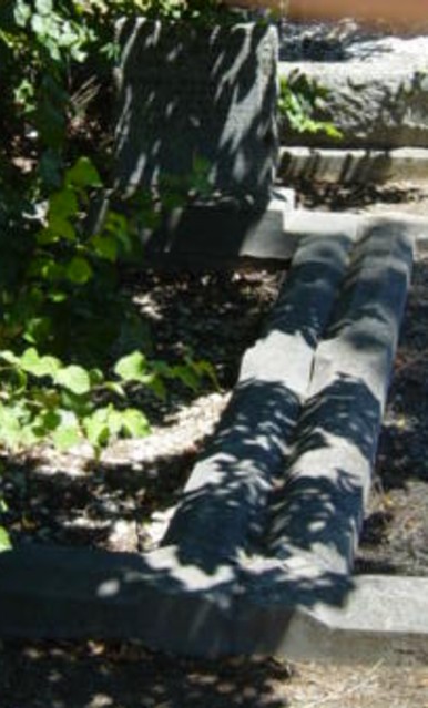Full-size image