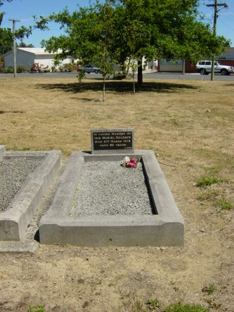 Full-size image