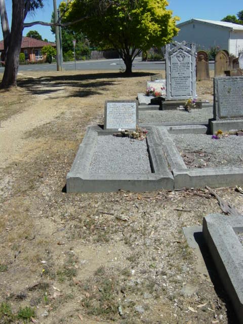 Full-size image