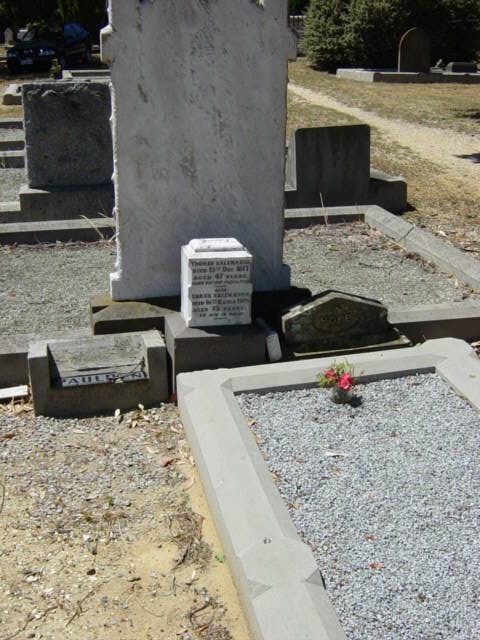 Full-size image