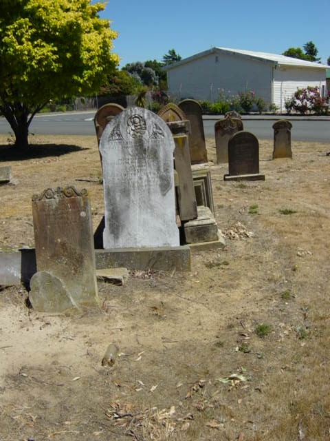 Full-size image