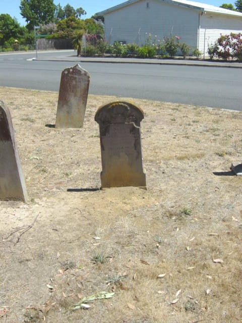 Full-size image