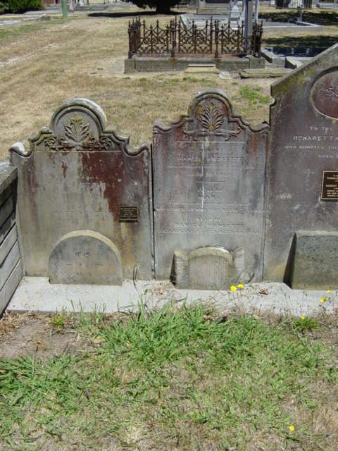 Full-size image