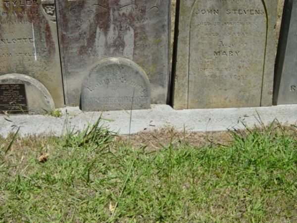 Full-size image