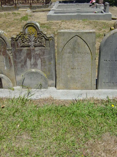 Full-size image