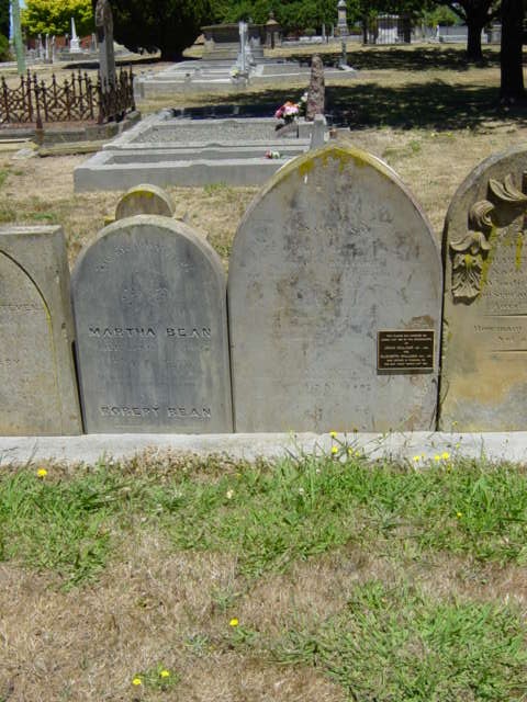 Full-size image
