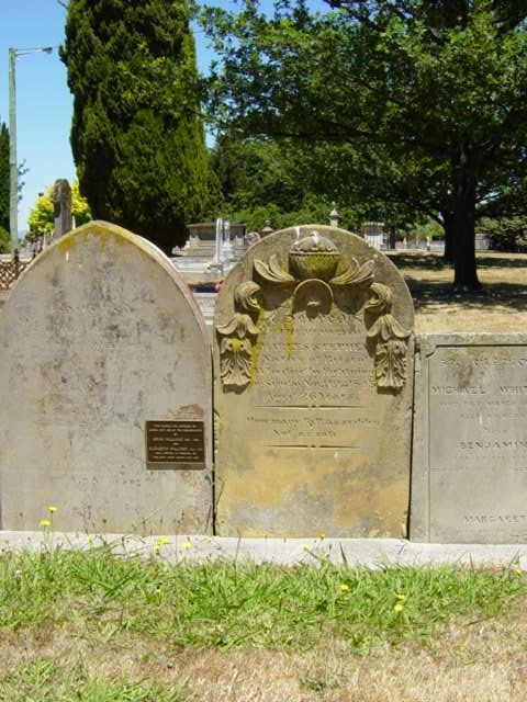 Full-size image