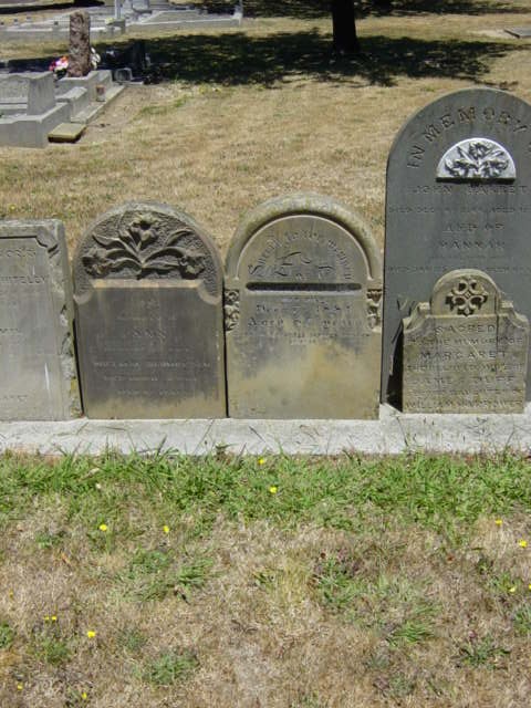 Full-size image