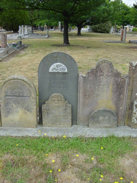 Full-size image