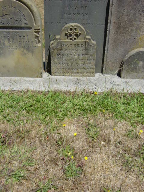Full-size image