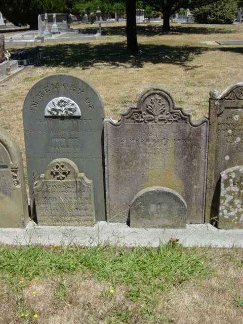 Full-size image