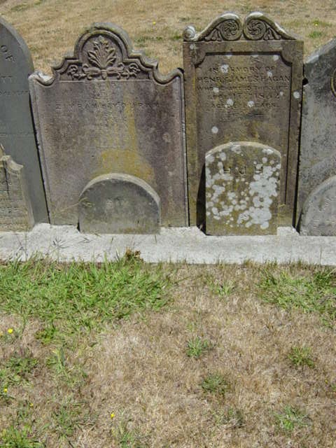Full-size image
