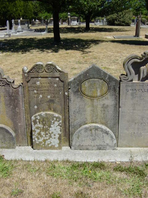Full-size image