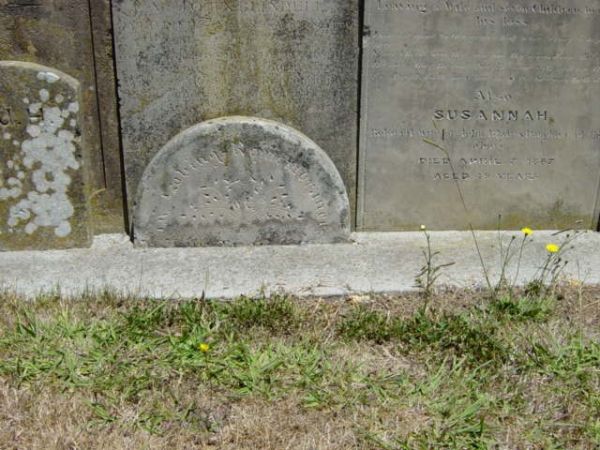 Full-size image