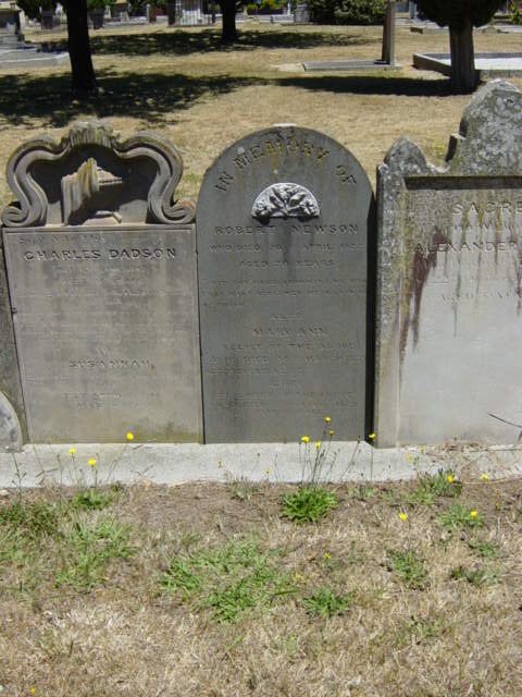 Full-size image