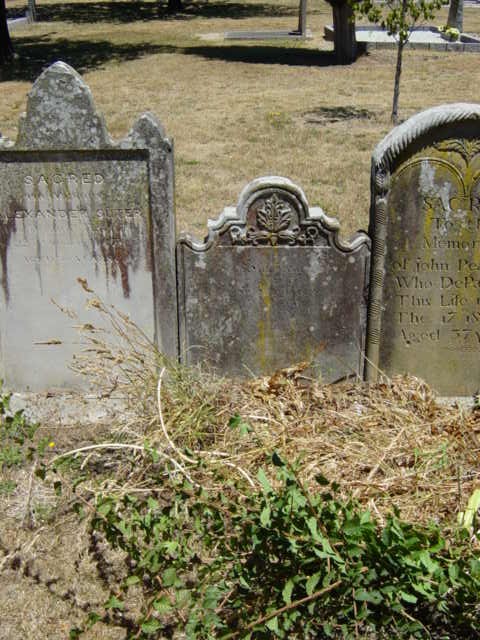Full-size image