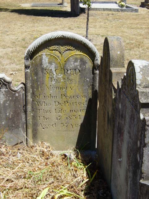Full-size image