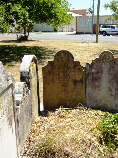 Full-size image