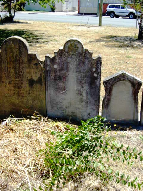 Full-size image