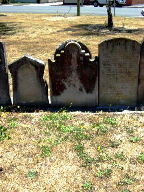 Full-size image