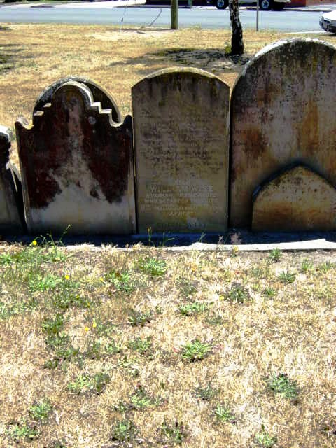 Full-size image