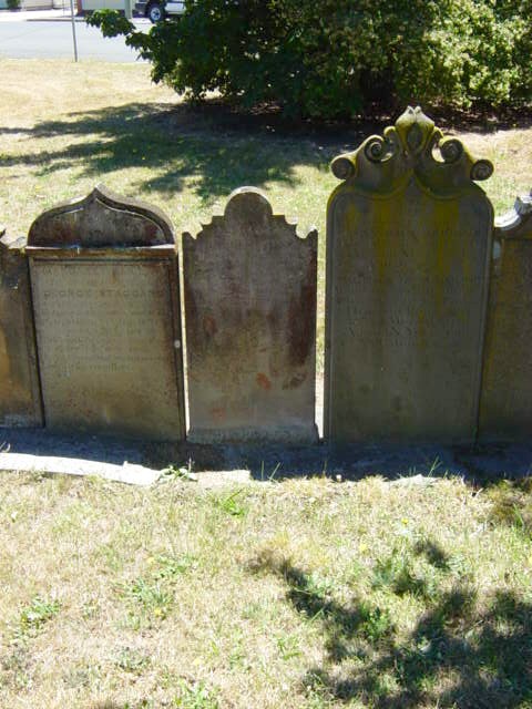 Full-size image