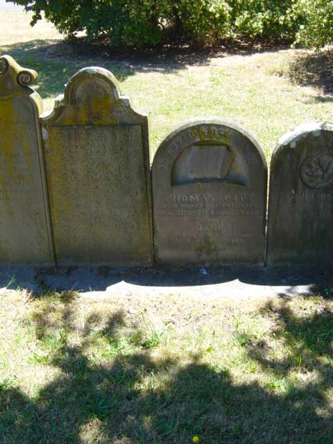 Full-size image