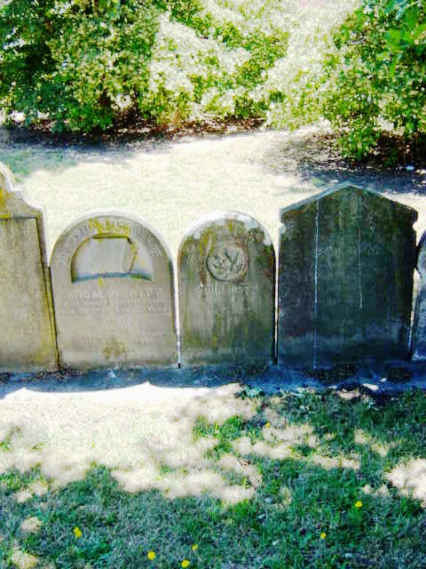 Full-size image
