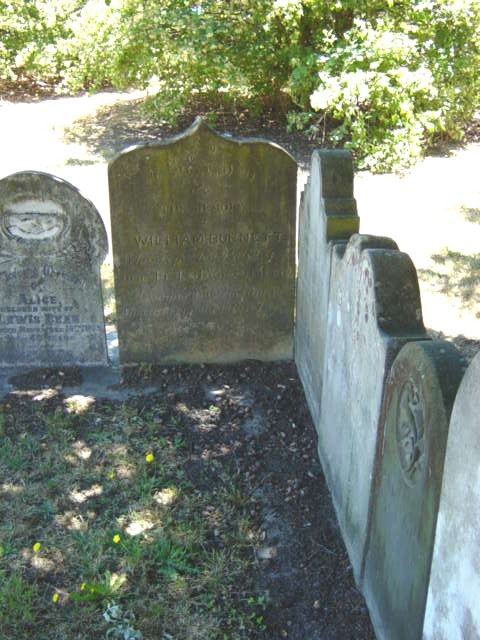 Full-size image
