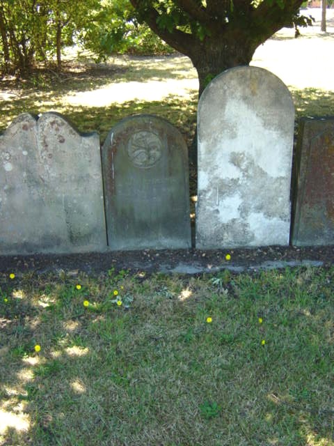 Full-size image