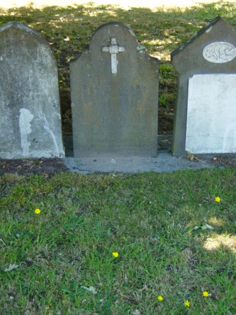 Full-size image