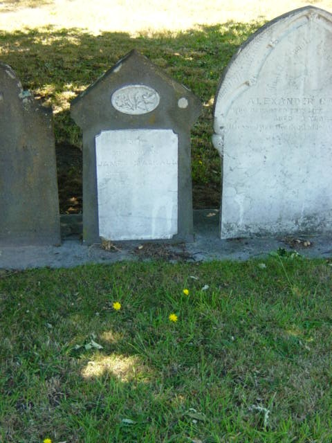 Full-size image