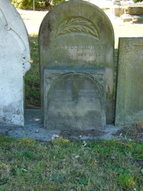 Full-size image