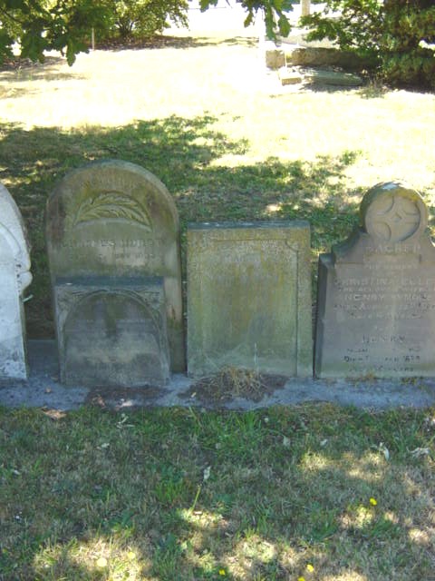 Full-size image