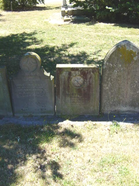 Full-size image