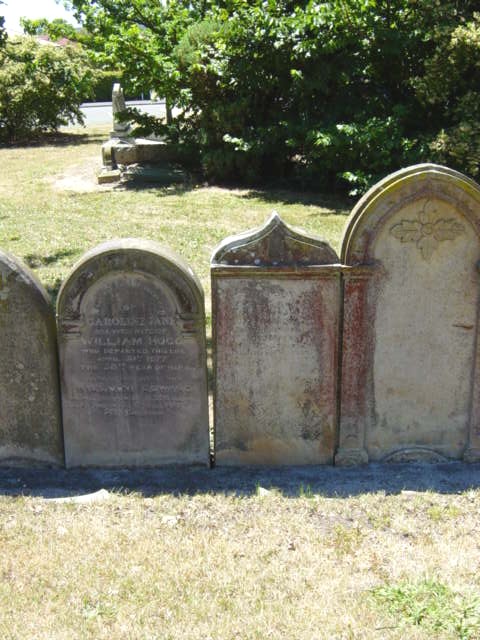 Full-size image