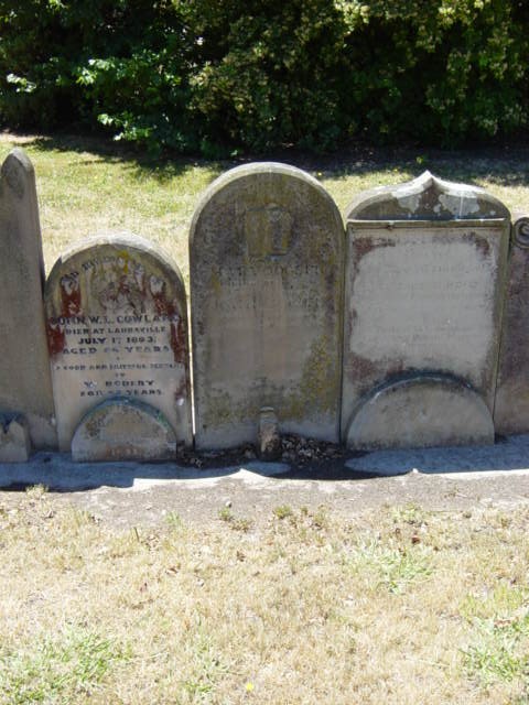 Full-size image