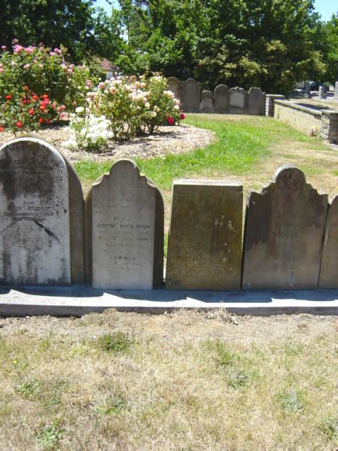 Full-size image