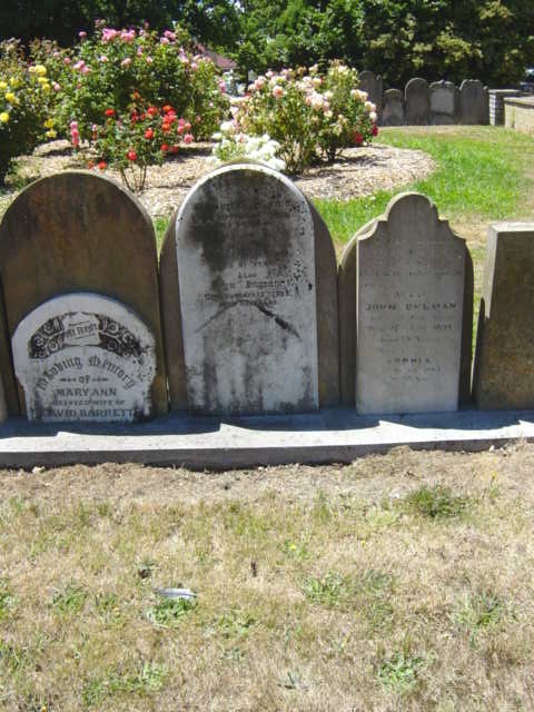 Full-size image