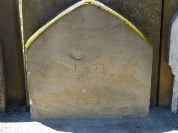 Full-size image