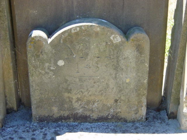 Full-size image