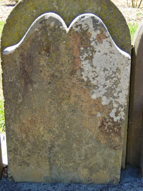 Full-size image