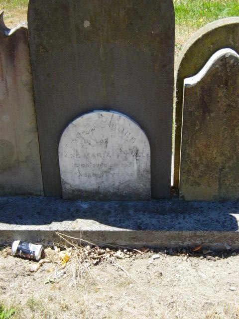 Full-size image
