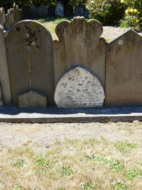 Full-size image