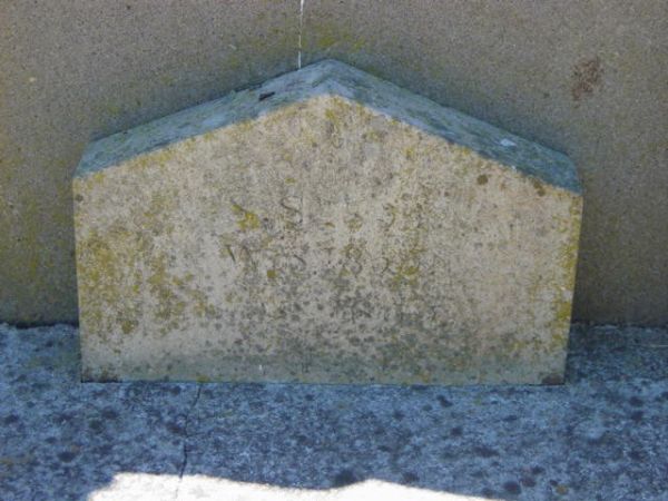 Full-size image