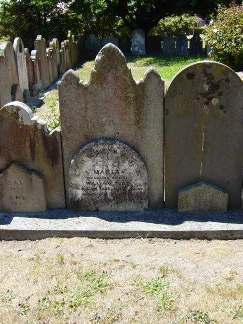 Full-size image