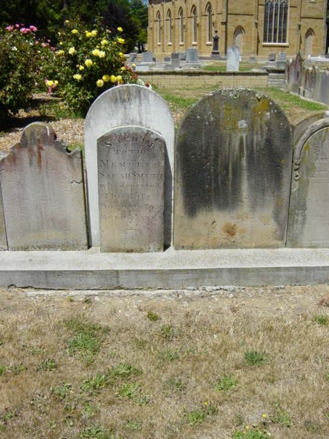 Full-size image