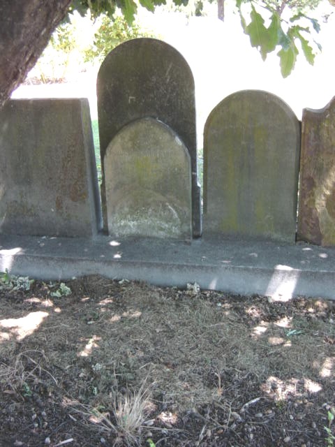 Full-size image