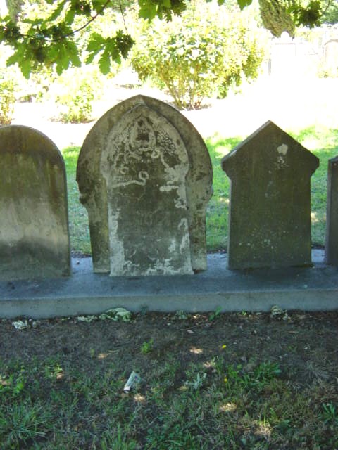 Full-size image