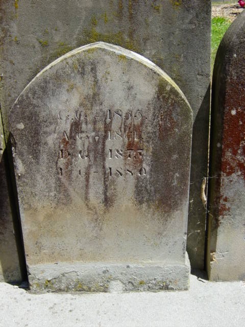 Full-size image